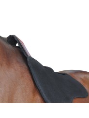 Amortisseur feutre F&C