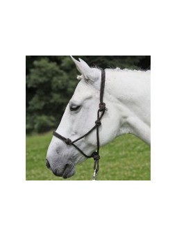 Licol Halter en corde