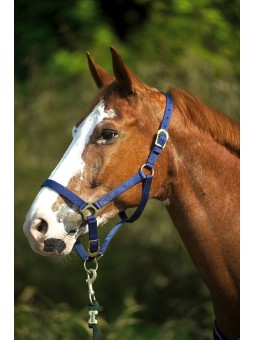 Licol nylon double épaisseur