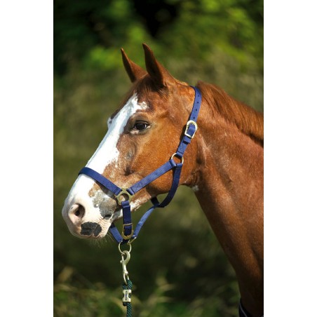 Licol nylon double épaisseur