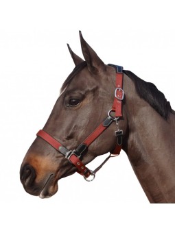 Licol nylon/cuir F&C