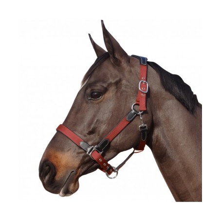 Licol nylon/cuir F&C