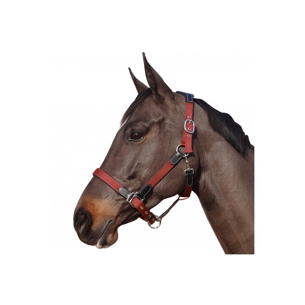 Licol nylon/cuir F&C