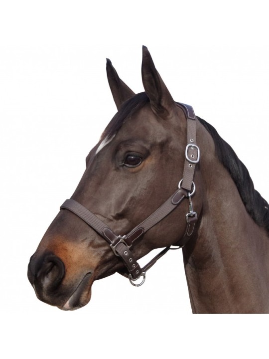 Licol nylon/cuir F&C