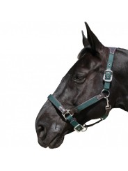 Licol nylon/cuir F&C