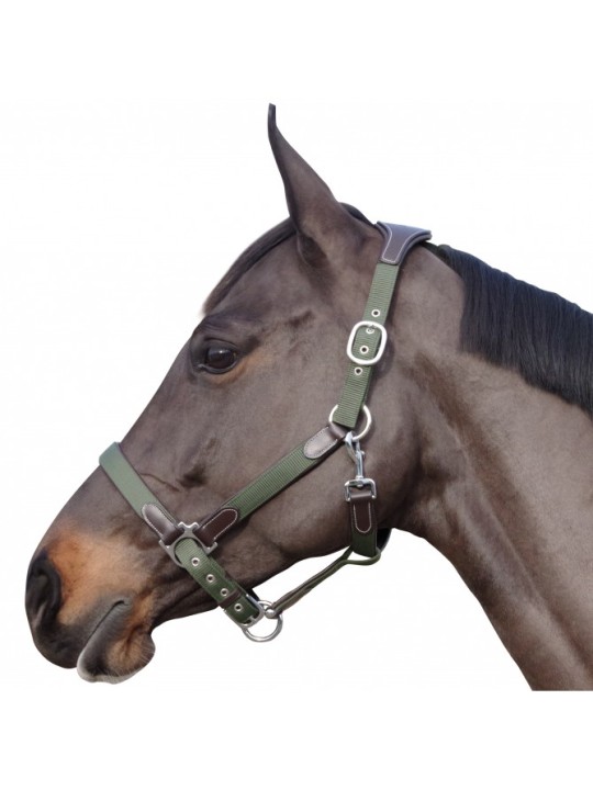 Licol nylon/cuir F&C