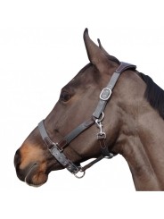 Licol nylon/cuir F&C