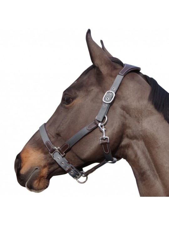 Licol nylon/cuir F&C