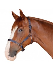 Licol nylon/cuir F&C