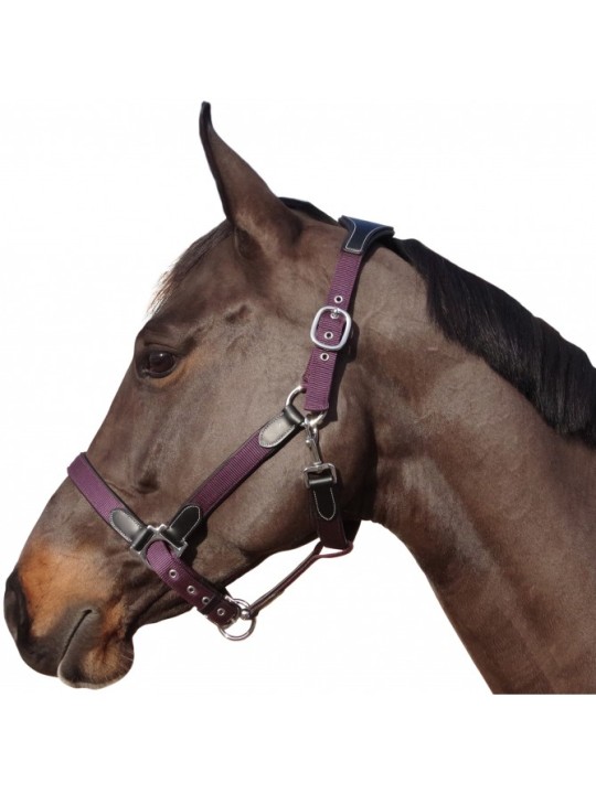 Licol nylon/cuir F&C