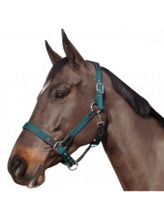 Licol nylon/cuir F&C