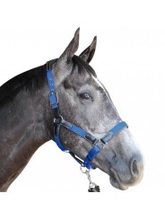 Licol nylon/cuir F&C