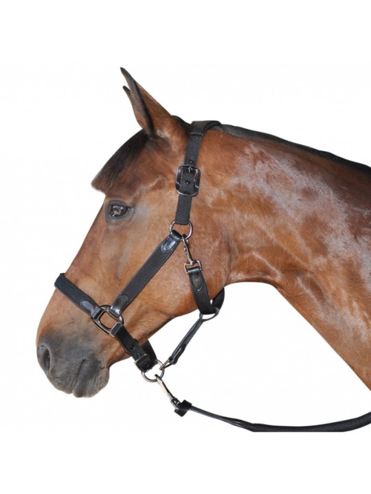 Licol nylon/cuir F&C