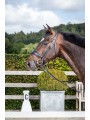 Bridon DRESSAGE cuir plat Collection muserolle combinée large