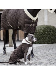 Manteau pour chien ORIGINAL