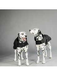Manteau pour chien ORIGINAL
