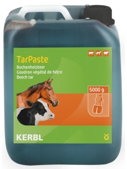 Goudron de hêtre TarPaste