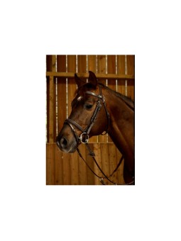 Bridon Fancy avec mousquetons