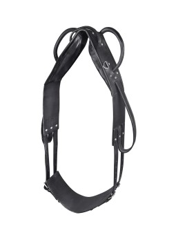 Surfaix de Voltige et de Longe