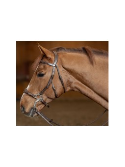 Bridon Hackamore HFI