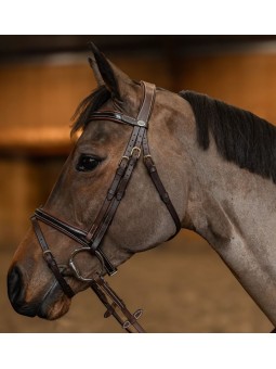 Bridon Combiné Painted