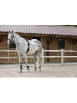 Longues Rênes Riding World...