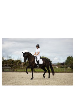 Tapis de selle BR Ivory...