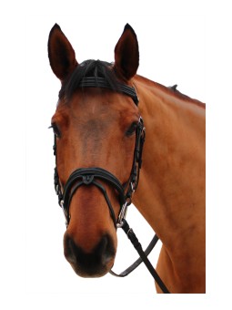 Bridon Canter Mylord