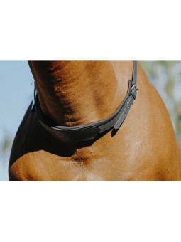 Collier de monte à cru