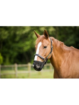 Panier muselière HIPPOTONIC