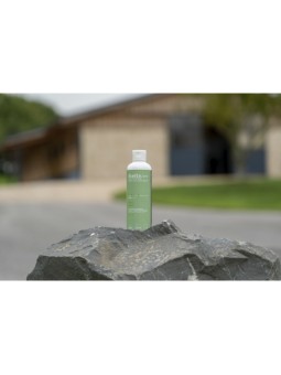 Gel ALODIS CARE "Anti choc"...