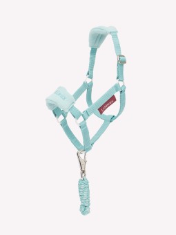 Licol et Longe Vogue Hobby...