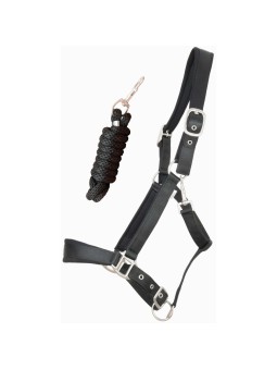 Licol et Longe  "Satiné"