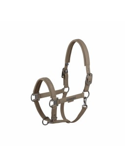 Licol Platinium 2025