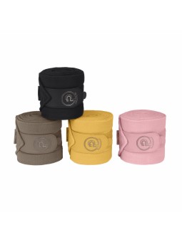 Bande de polo Platinium 2025