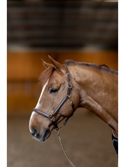 LICOL CUIR "LITTLE GROOM"