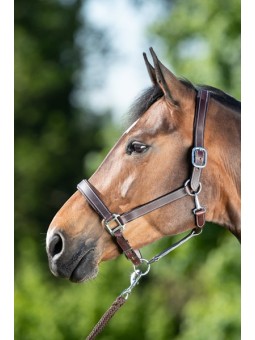 LICOL CUIR DBLE/B.ARGENT BRUN