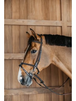 Bridon d'entraînement tressé