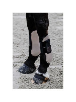 PROTEGE TENDONS TARA