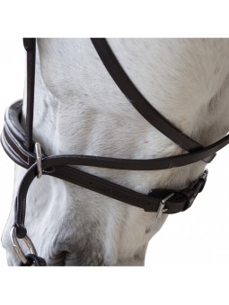 Bridon CANTER bitless...