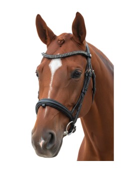 Bridon dressage CANTER TOTILAS
