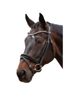 Bridon CANTER VALEGRO