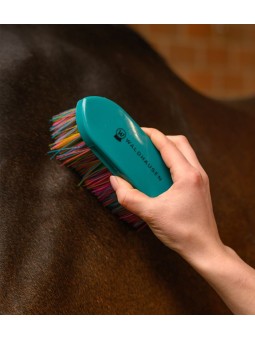 Brosse à poils longs Rainbow