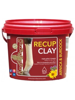 Argile Kevin Bacon's Recup...