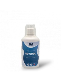 Rekor So Cool : Anti-stress