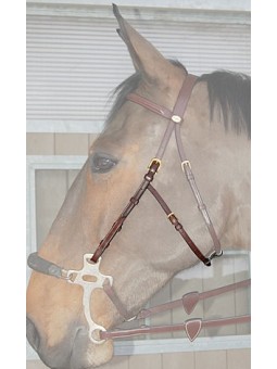 Montants de Hackamore ENGLISH Collection