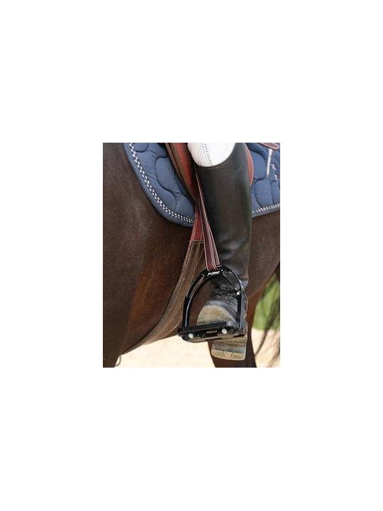 Etrivières DE MUIZON