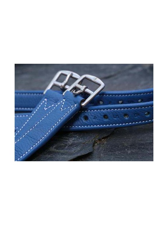 Etrivières DE MUIZON