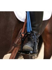 Etrivières DE MUIZON