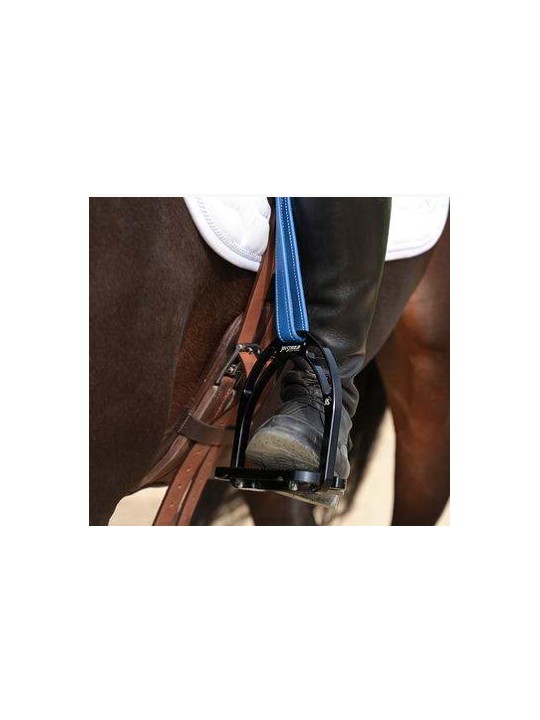 Etrivières DE MUIZON